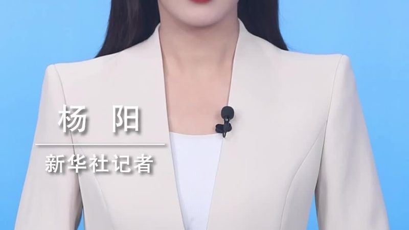 数据仓库报表开发流程：揭秘高效数据洞察的秘密武器
